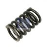 SCANI 1728923 Valve Spring